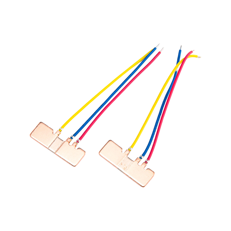 FHS-008 Shunt di precisione immune al rumore a bassa potenza